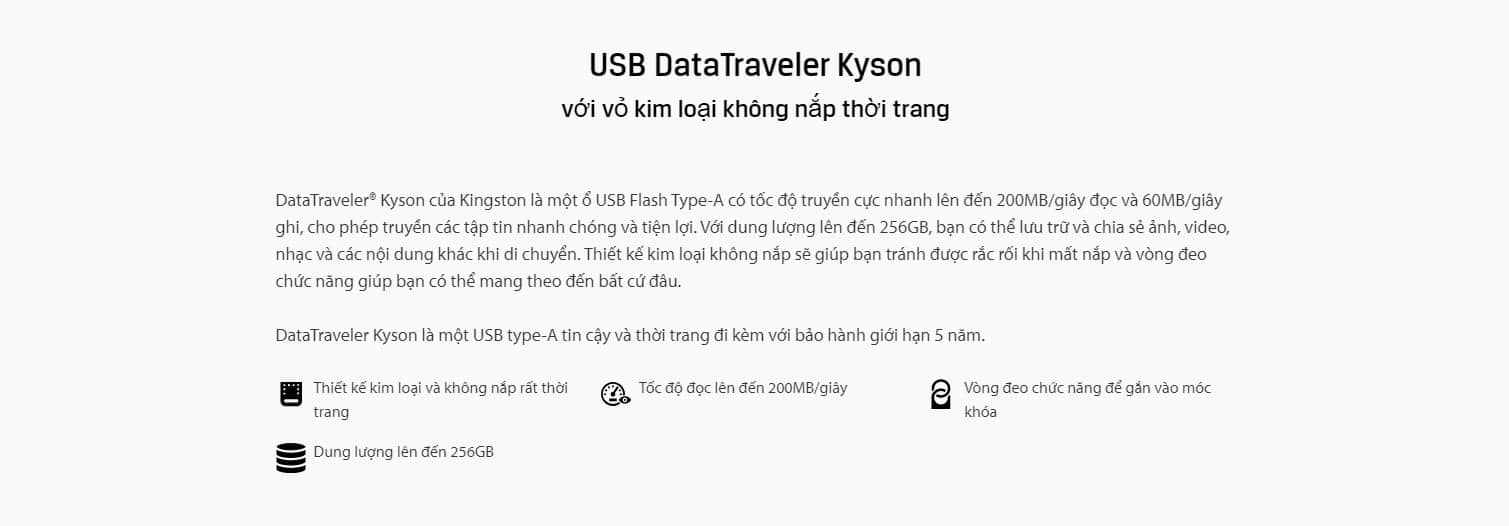 USB Kingston DataTraveler Kyson (USB3.2 Gen1